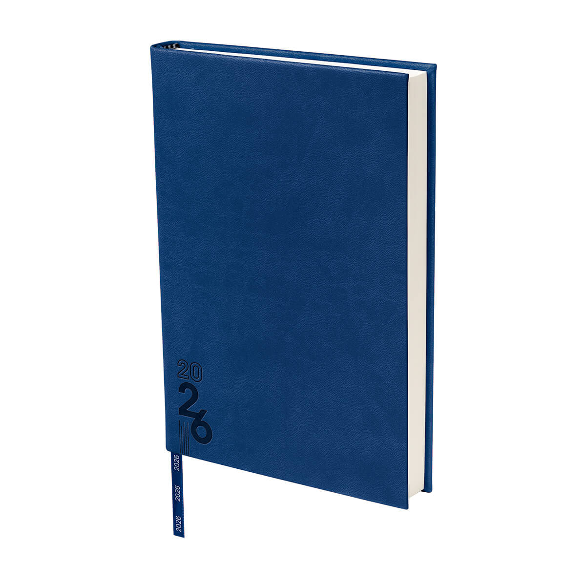 AGENDA DIARIA TERRA 2026 - AZUL REY