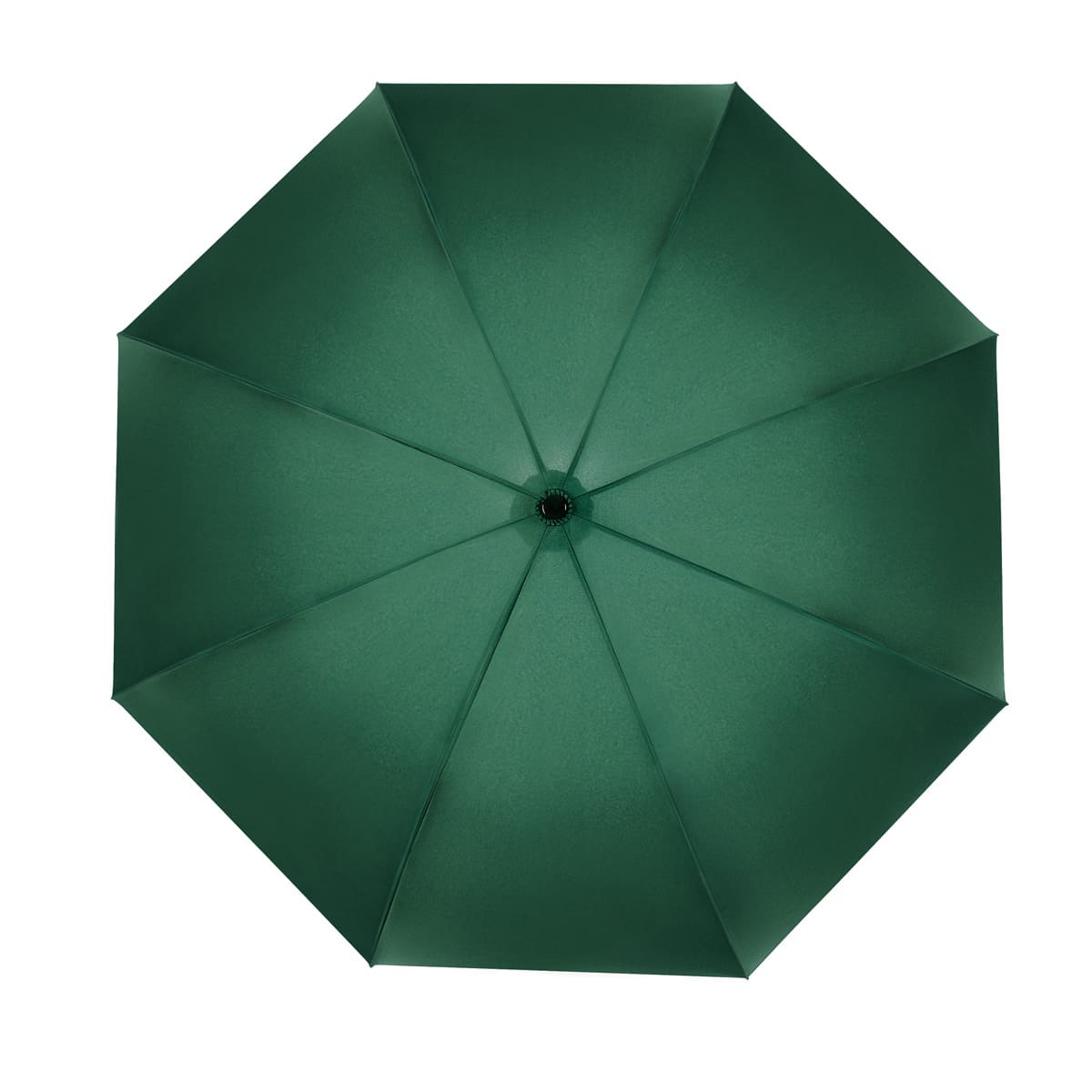 PARAGUAS BRUNÉI - VERDE