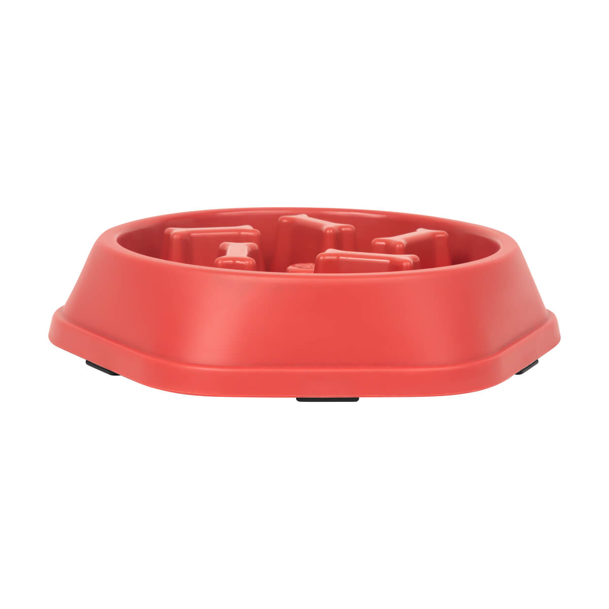PLATO OSSIS - ROJO
