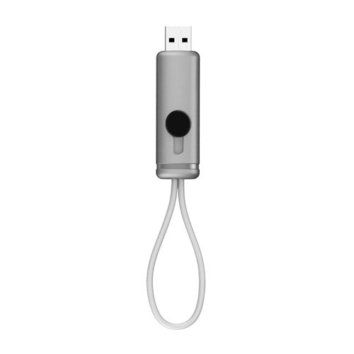 USB GRENOBLE 16 GB - PLATA