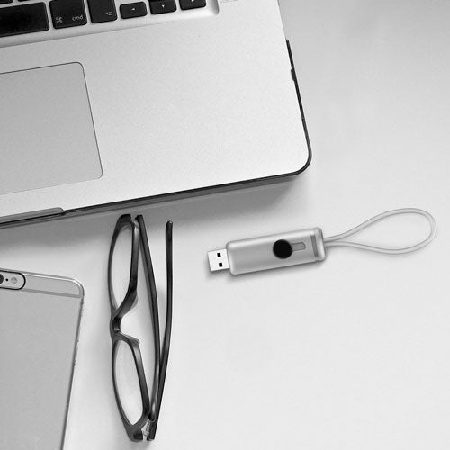 USB GRENOBLE 16 GB - PLATA