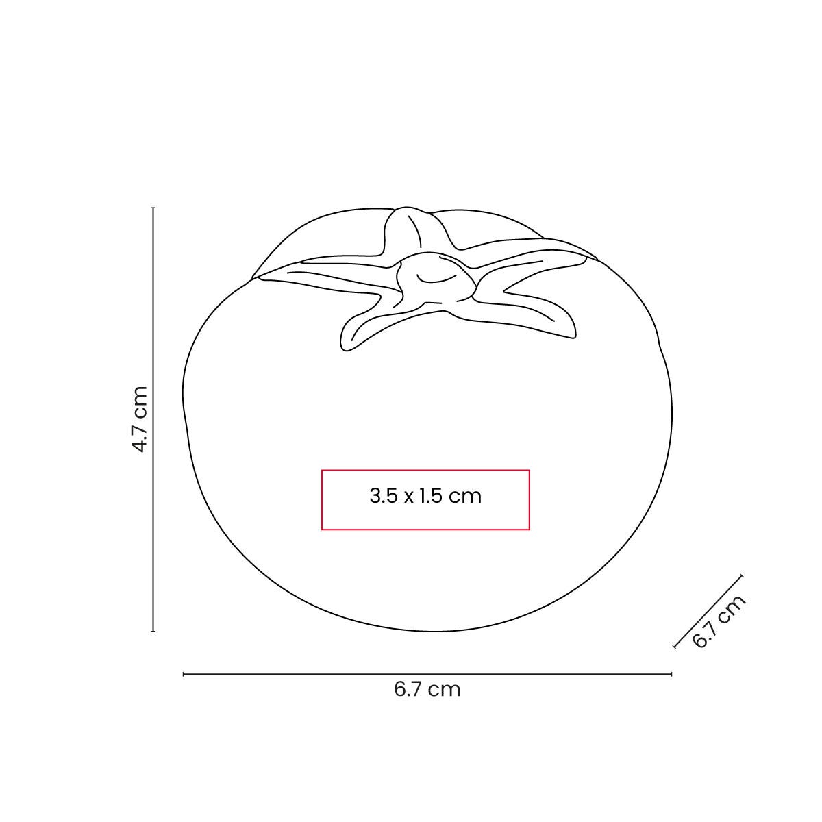 ANTI-STRESS TOMATE