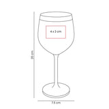 COPA DE VINO HUNGARY