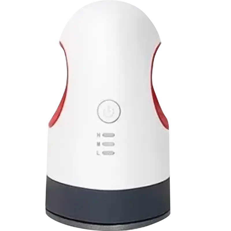 Prensa Plana Manual Mini 110V  Color Make