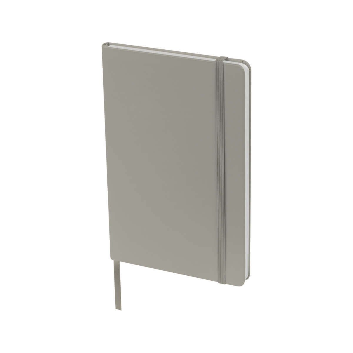 LIBRETA BAIONA - GRIS