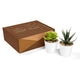 SET DE PLANTAS ALISO - BLANCO