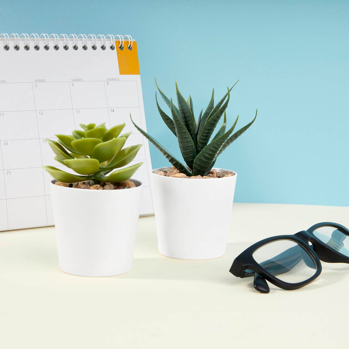 SET DE PLANTAS ALISO - BLANCO