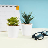 SET DE PLANTAS ALISO - BLANCO