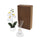 SET DECORATIVO FIORA - BLANCO