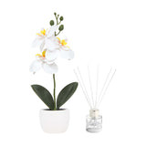 SET DECORATIVO FIORA - BLANCO