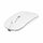 MOUSE DOUGLAS
