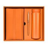 SET BIRKIN - NARANJA