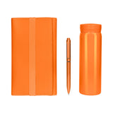 SET BIRKIN - NARANJA