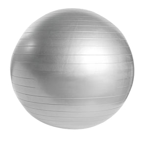 PELOTA DE PILATES WELLNESS - PLATA