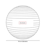 PELOTA DE PILATES WELLNESS