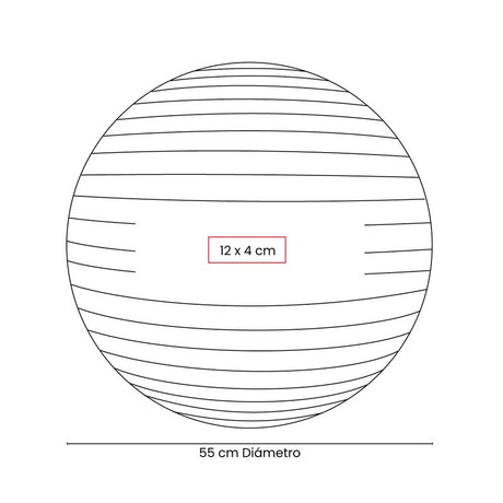 PELOTA DE PILATES WELLNESS