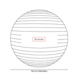 PELOTA DE PILATES WELLNESS