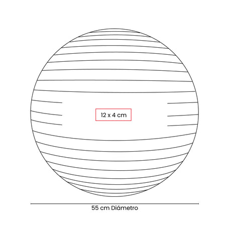 PELOTA DE PILATES WELLNESS