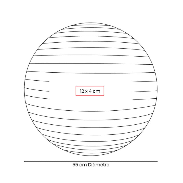 PELOTA DE PILATES WELLNESS
