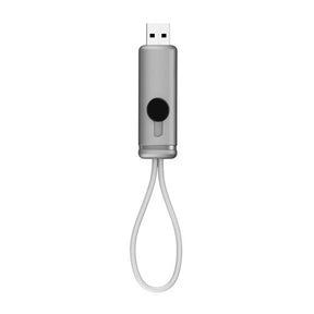 USB GRENOBLE 16 GB - PLATA