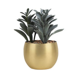 PLANTA DECORATIVA DAKAR