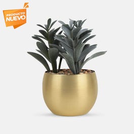 PLANTA DECORATIVA DAKAR